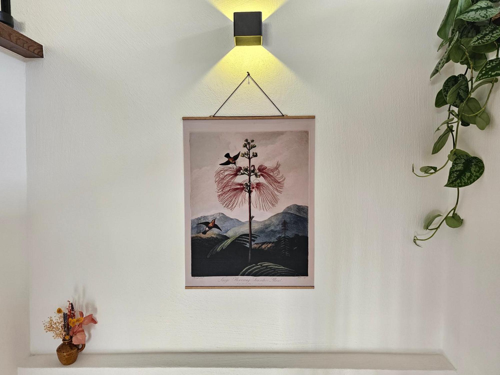 Kolibri - Design Maisonette - Nintendo Switch, Streaming, Bikestore, E-Wallbox Marburg エクステリア 写真
